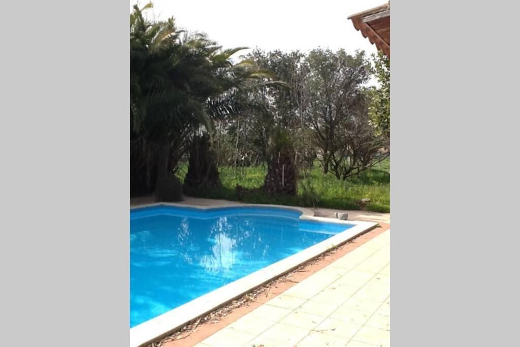 Big Relax Apartment With Swimming Pool And A Peaceful Garden In A Private Villa Sestu Exteriör bild
