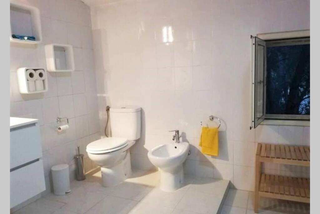 Big Relax Apartment With Swimming Pool And A Peaceful Garden In A Private Villa Sestu Exteriör bild
