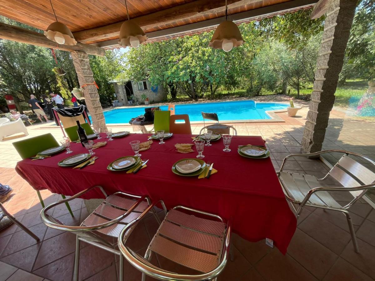 Big Relax Apartment With Swimming Pool And A Peaceful Garden In A Private Villa Sestu Exteriör bild