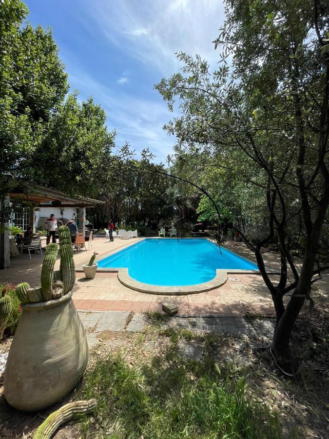 Big Relax Apartment With Swimming Pool And A Peaceful Garden In A Private Villa Sestu Exteriör bild