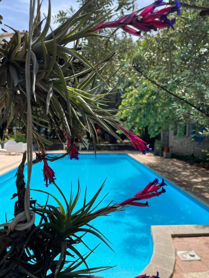 Big Relax Apartment With Swimming Pool And A Peaceful Garden In A Private Villa Sestu Exteriör bild
